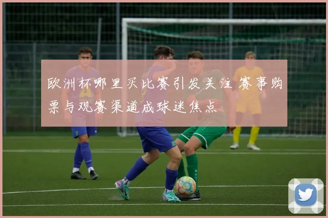 欧洲杯哪里买比赛引发关注 赛事购票与观赛渠道成球迷焦点