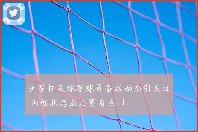 世界杯足球赛球员备战动态引关注 训练状态成比赛看点_1
