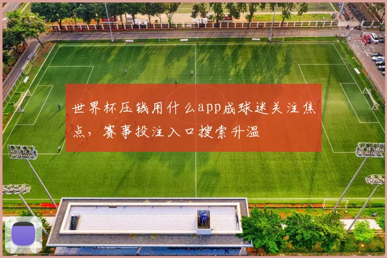 世界杯压钱用什么app成球迷关注焦点，赛事投注入口搜索升温