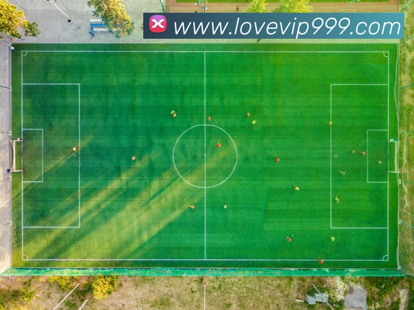 世界杯官网登录app服务体系